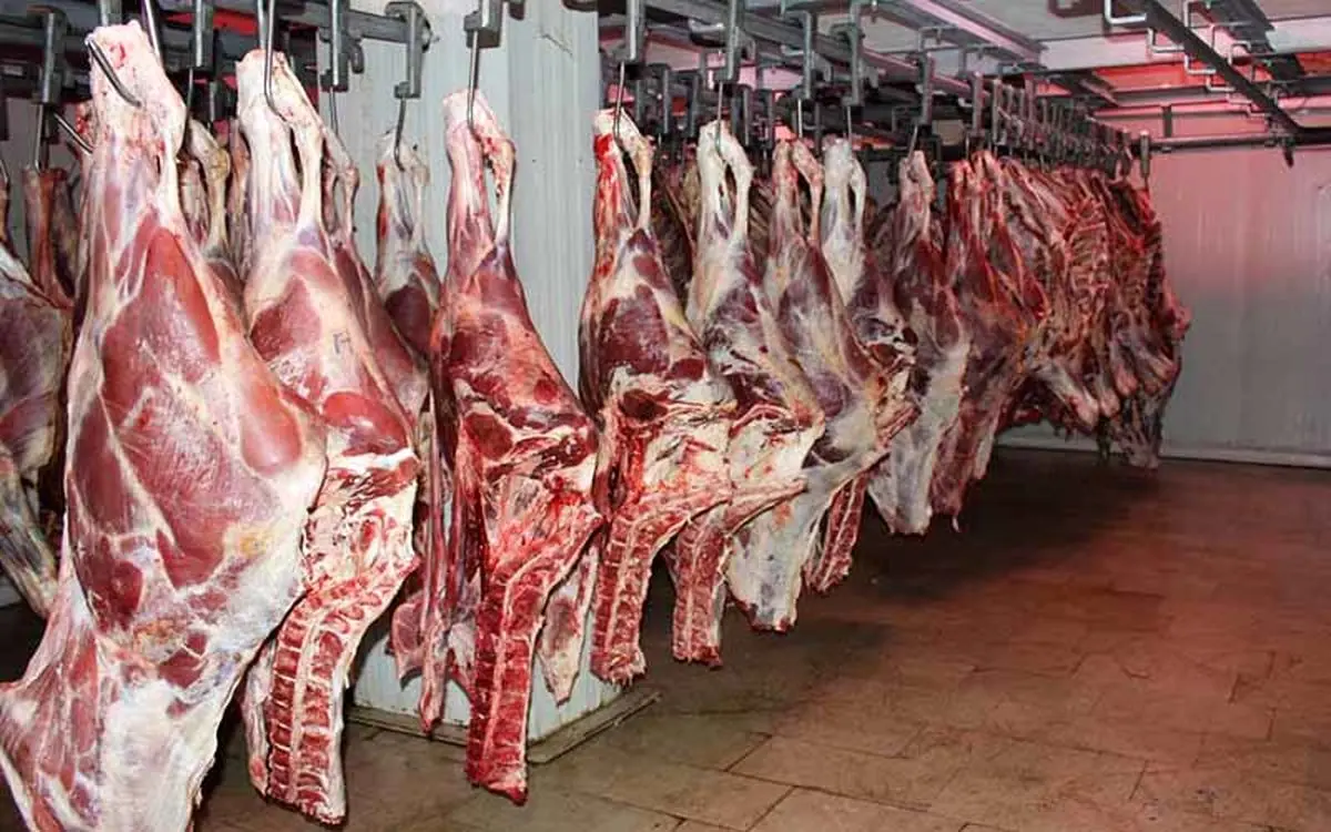 توزیع روزانه ۱۲۰ تن گوشت قرمز وارداتی در بازار