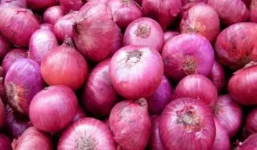 افزایش ۳۰درصدی قیمت پیاز و گوجه فرنگی 