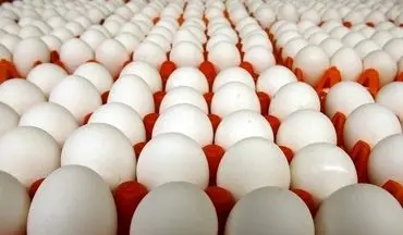 آخرین قیمت تخم‌مرغ بسته‌بندی تعیین شد