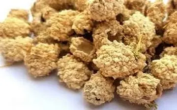 شکر تیغال چیست؟ + خواص بی نظیرش