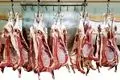 جدیدترین نرخ گوشت قرمز در بازار امروز ۲۰ شهریور ۱۴۰۴