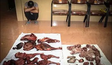 
کشف لاشه دو رأس میش و بره وحشی از منزل شکارچی متخلف در قم
