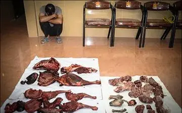 
کشف لاشه دو رأس میش و بره وحشی از منزل شکارچی متخلف در قم
