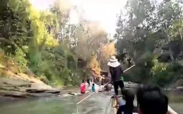 استقبال وحشتناک فیل از گردشگران در تایلند +فیلم 