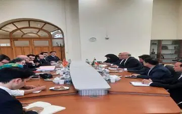 نشست مدیران کل وزارت خارجه‌های ایران و ترکیه برگزار شد