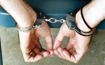 کشف سرقت‌ها در دشتی 90 درصد افزایش داشته است