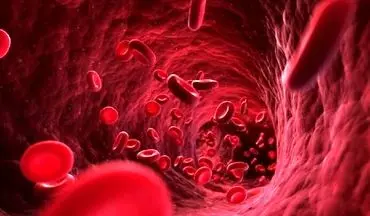 این مواد غذایی برای چربی خون بالا سم خالص است
