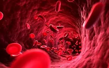 این مواد غذایی برای چربی خون بالا سم خالص است