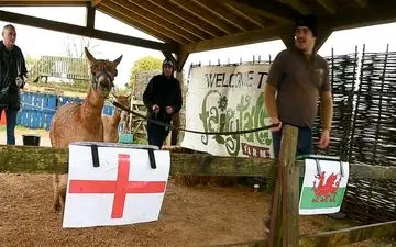 از حیوان پیشگو در آستانه جام جهانی رونمایی شد