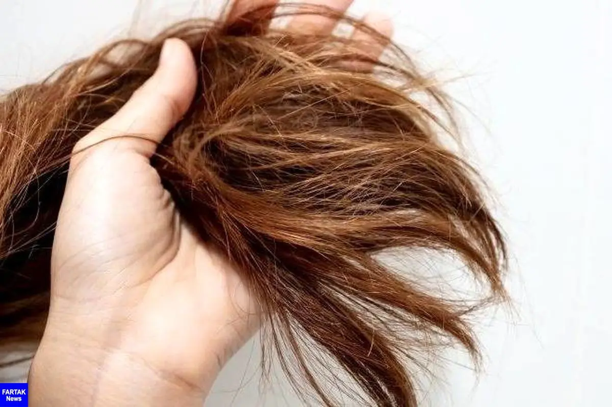 درمان موهای خشک و آسیب دیده باچند داروی خانگی 