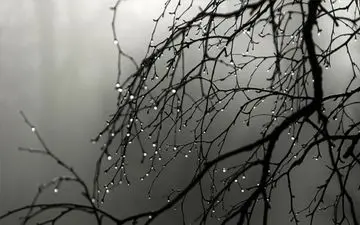 اعلام وضعیت قرمز/بارندگی شدید و رگبار میهمان در انتظار البرز