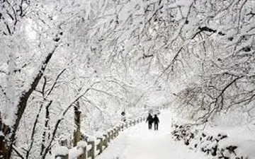 اولین برف پاییزی باریدن گرفت