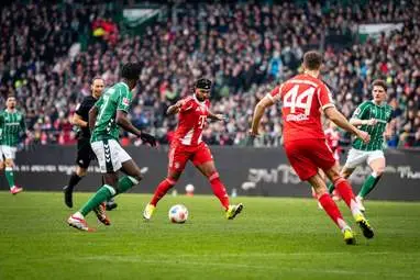 IMG_20260215_023351_377