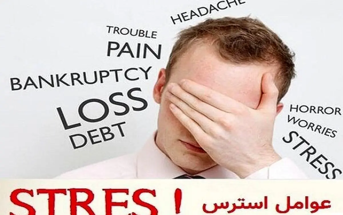 آرامش در بشقاب شما/ طب سنتی چگونه استرس را کاهش داده و گوارش را بهبود میبخشد؟