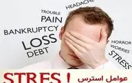آرامش در بشقاب شما/ طب سنتی چگونه استرس را کاهش داده و گوارش را بهبود می‌بخشد؟