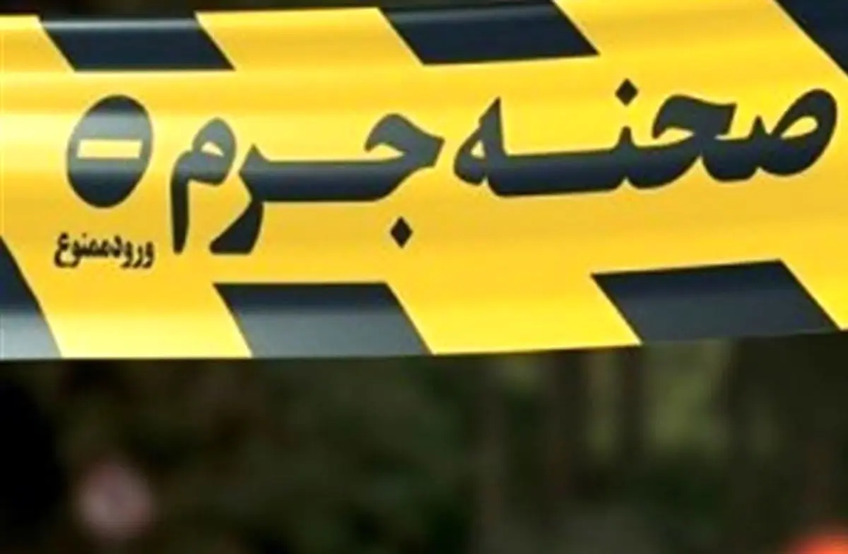 پیرزن تهرانی قربانی اعتماد کور به مستخدم جوان شد