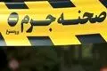 پیرزن تهرانی قربانی اعتماد کور به مستخدم جوان شد