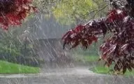 بارش پراکنده باران در شمال کشور