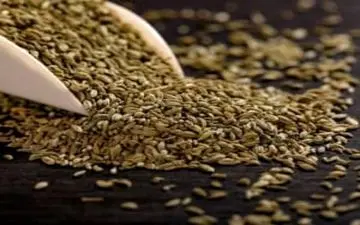 تاثیر رازیانه در سلامت زنان!