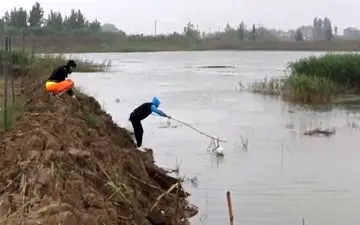 طرز صحیح بیرون آوردن توپ از آب! + فیلم