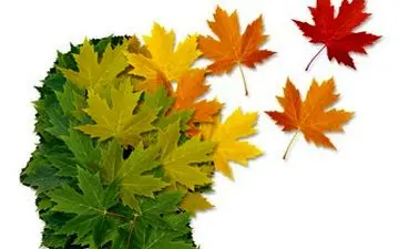 تشخیص آلزایمر با الماس