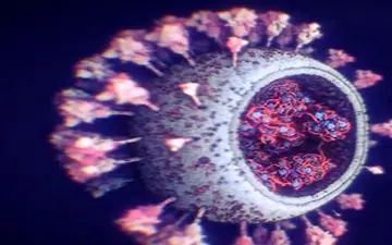 
کرونا در ایلام اوج گرفت/۲۲۴ مبتلای مثبت در یک شبانه روز
