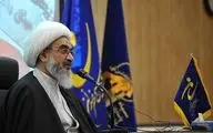 انقلاب ایران شجره طیبه است