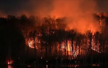 بلای نامرئی/ دود آتش سوزی چگونه قلب و ریه را می‌کُشد؟