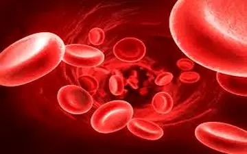 غلظت خون و علل آن در طب جدید و طب سنتی 