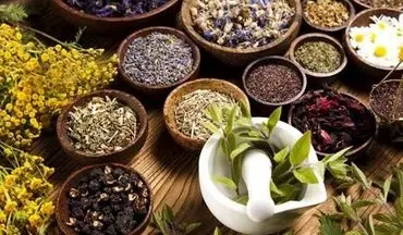 نسخه‌های طب ایرانی برای در امان ماندن از عوارض آلودگی هوا