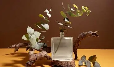 معرفی معروف ترین برند های عطر و ادکلن زنانه و مردانه در جهان