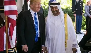 افشای تقلای ولیعهدهای عربستان و امارات برای پیروزی ترامپ در انتخابات آمریکا