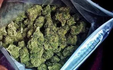 
کشف ۴.۵ کیلوگرم مخدر از گل فروش شمال تهران
