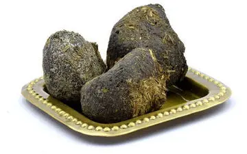 آشنایی با خواص دارویی عجیب عنبر نسا