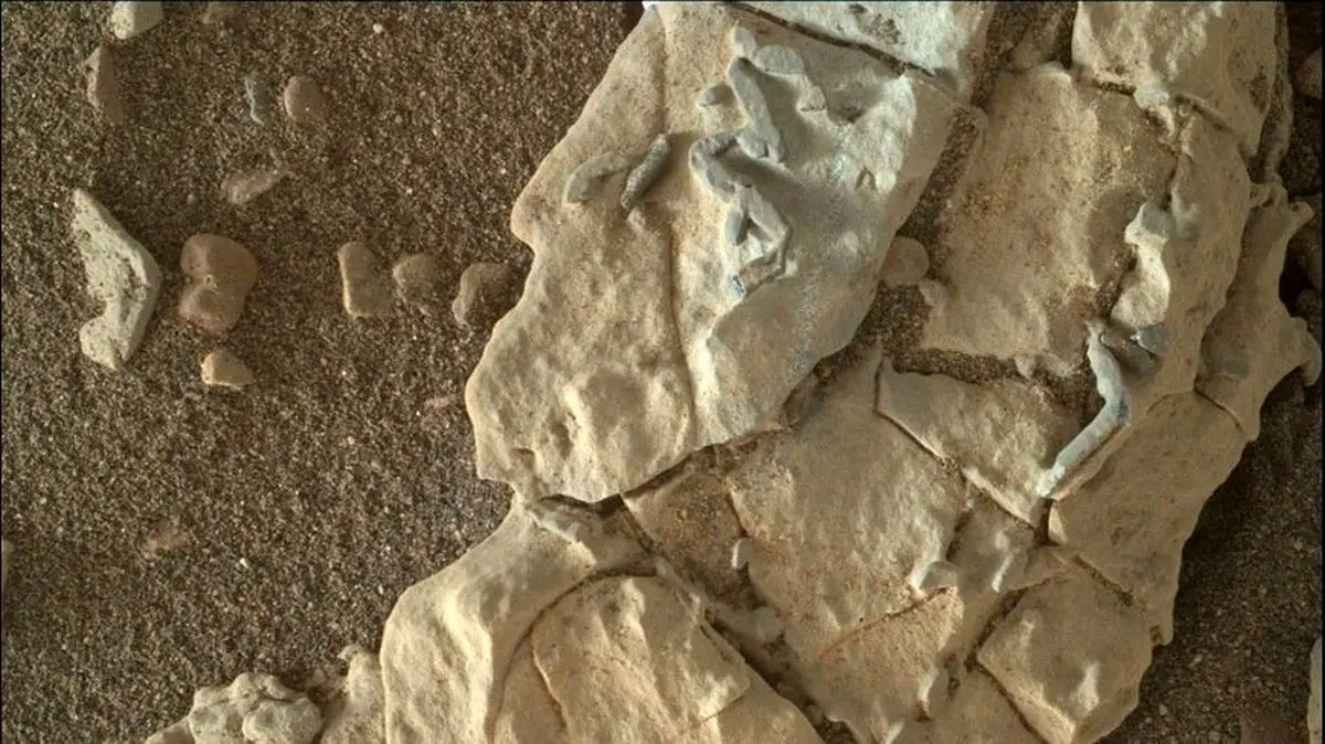 آیا وجود فرازمینی ها در مریخ حقیقت دارد؟ردپای موجودات بیگانه در مریخ +عکس
