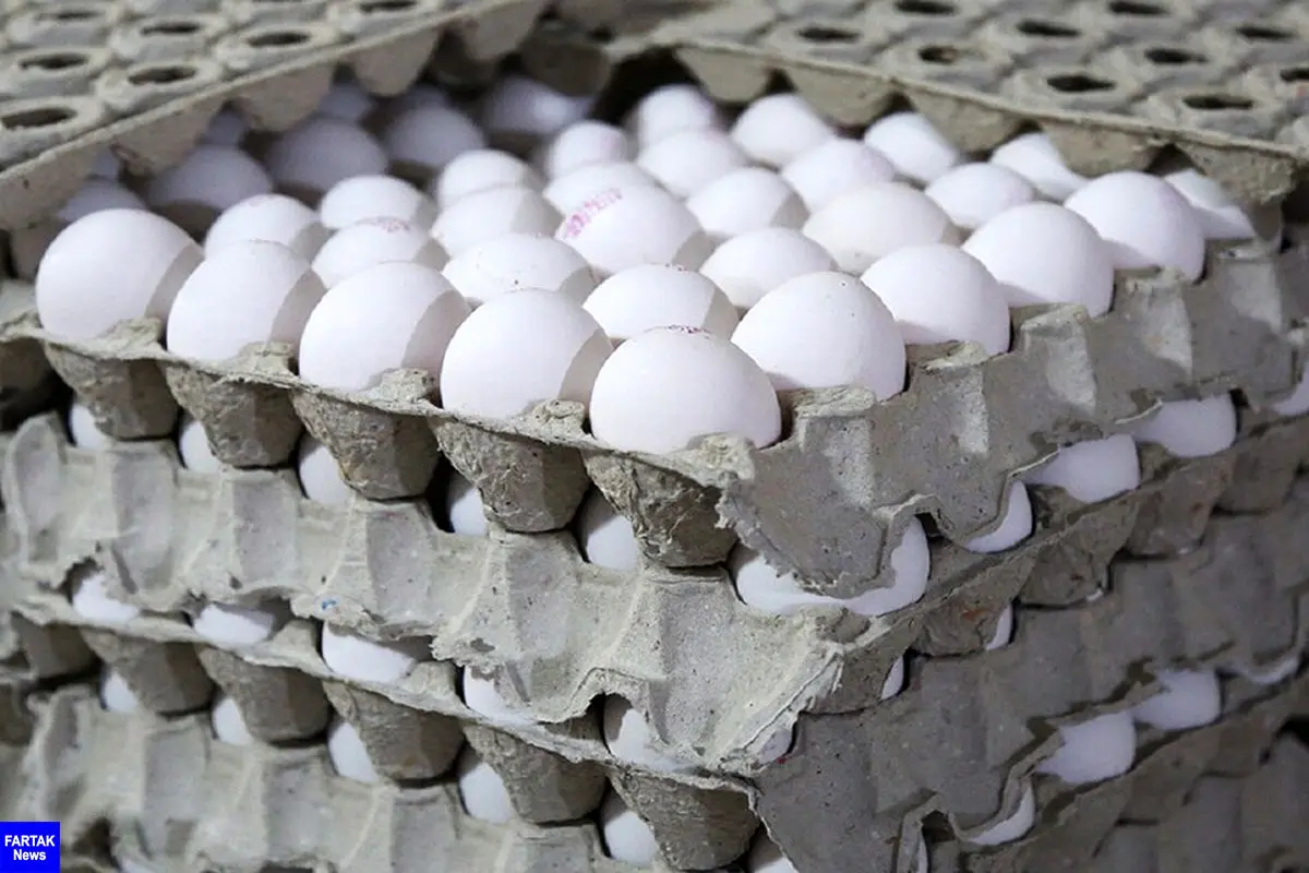 وضعیت بازار تخم مرغ در روزهای پایانی سال | تخم مرغ شانه ای چند؟