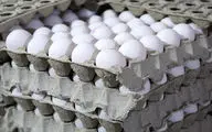 وضعیت بازار تخم مرغ در روزهای پایانی سال | تخم مرغ شانه ای چند؟