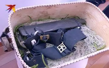 اهدای کمربند شکاری به پوتین برای محافظت خود از ارواح شیطانی +فیلم 