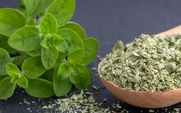 خبر داری پونه کوهی چه خواص شگفت انگیزی داره؟
