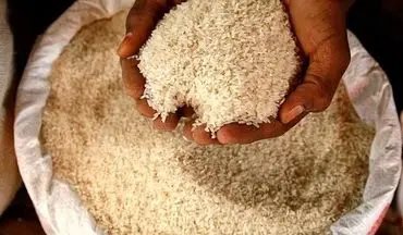 کاهش قیمت برنج آغاز شد 