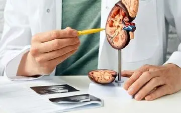 دیابت تاثیرات وحشتناکی بر کلیه ها دارد!