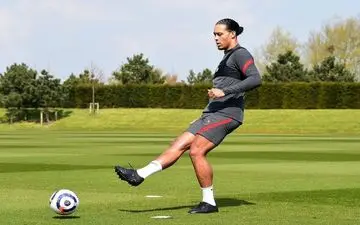 فن دایک در آستانه بازگشت به میادین