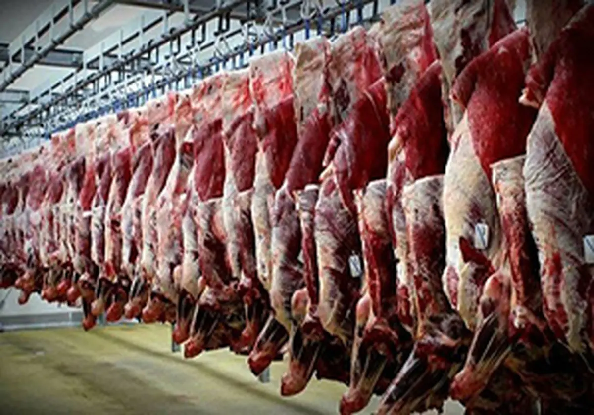 
علت افزایش قیمت گوشت