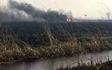 دود آتشسوزی هورالعظیم برخی شهرهای خوزستان را فراگرفت