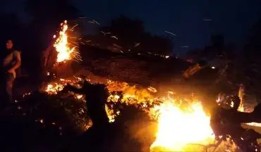 آتش سوزی یک ساختمان مسکونی در جنوب غرب تهران؛۴عضو خانواده جان باختند