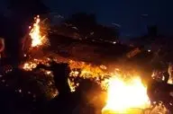 آتش سوزی یک ساختمان مسکونی در جنوب غرب تهران؛۴عضو خانواده جان باختند