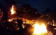 آتش سوزی یک ساختمان مسکونی در جنوب غرب تهران؛۴عضو خانواده جان باختند