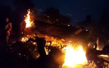 آتش سوزی یک ساختمان مسکونی در جنوب غرب تهران؛۴عضو خانواده جان باختند