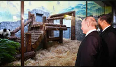 پوتین و رئیس جمهور چین در باغ وحش مسکو