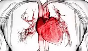 ۵ ویتامین حیاتی برای قلب + هشدار درباره مصرف بی‌رویه